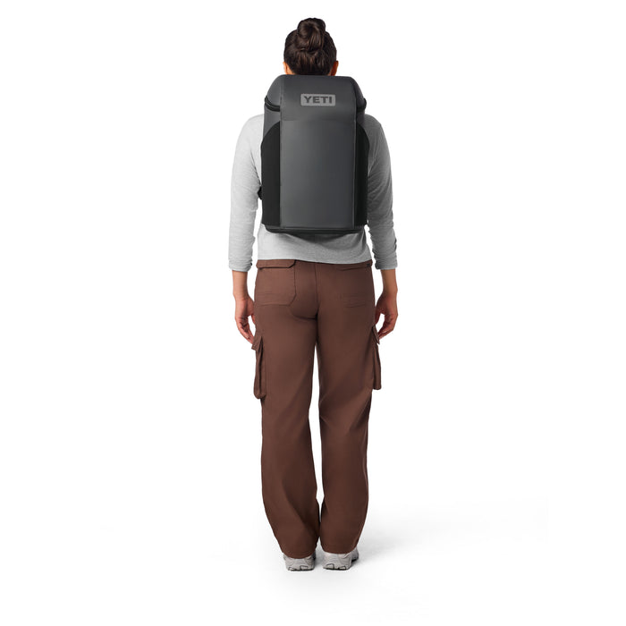 Black 20L Daytrip Insulated Backpack