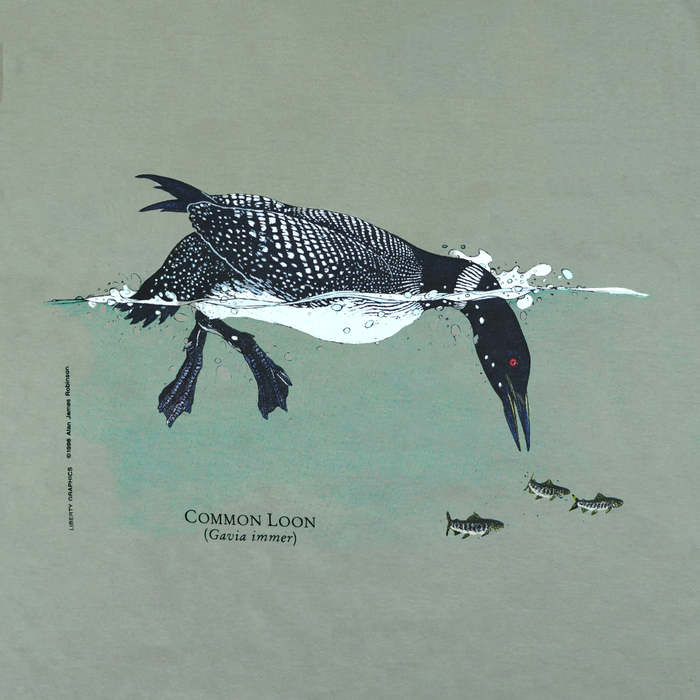 Common Loon Adult Sage T-shirt