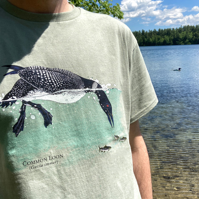 Common Loon Adult Sage T-shirt