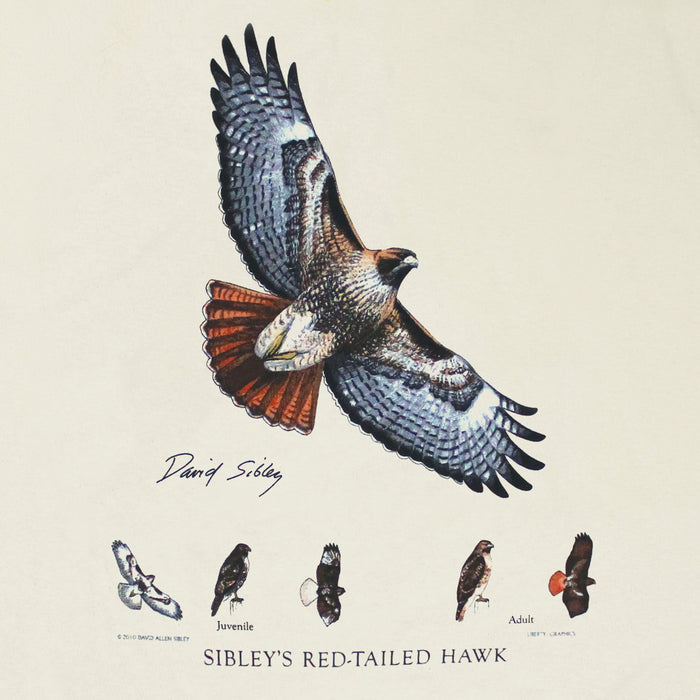 David Sibley's Red-Tailed Hawk Adult Natural Long Sleeve T-shirt