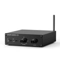 Douk Audio G100 Bass Shaker Amplifier for Tactile Transducer/Subwoofer 100W