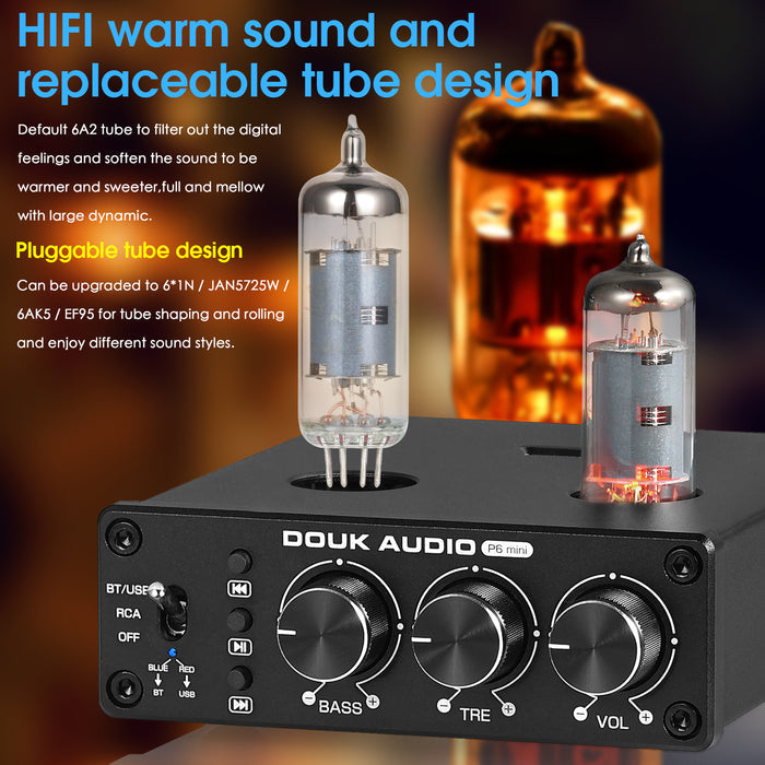 Douk Audio P6 MINI HiFi Vacuum Tube Preamp Bluetooth Stereo Audio Pre-amplifier Tone Control