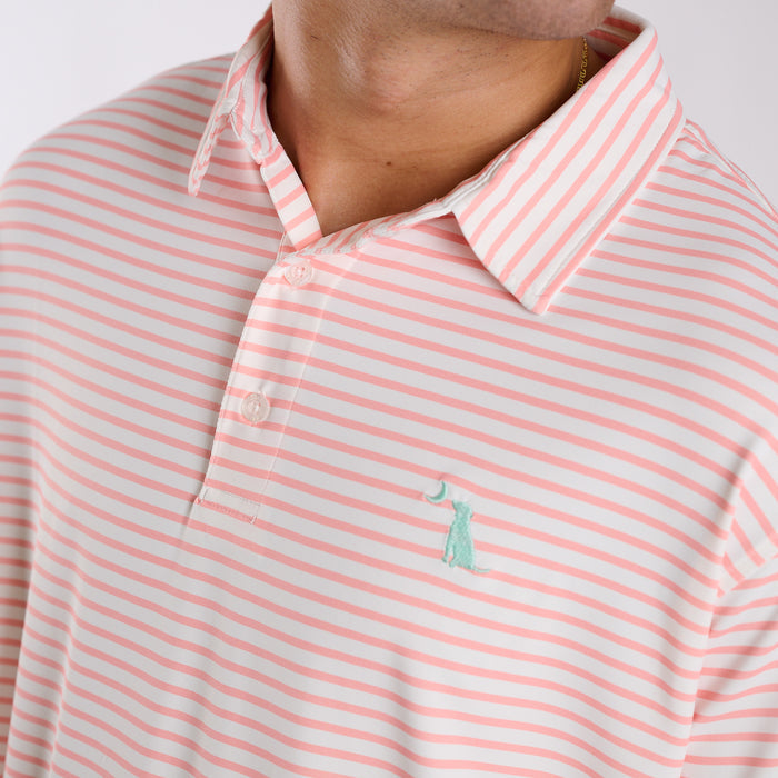 Close up of dog and moon chest emblem on peach and white polo.
