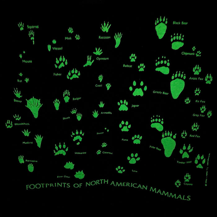 Footprints of North America Adult Navy T-shirt