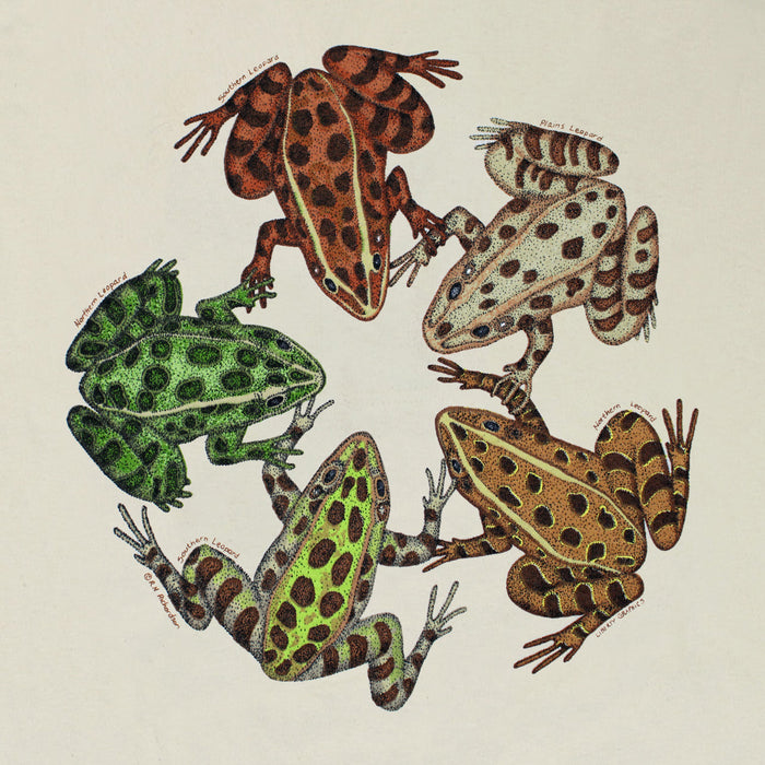 Frog Friends Adult Stone T-shirt