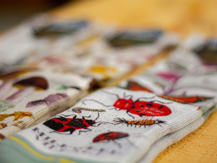 Milkweed Village Socks by Merge4