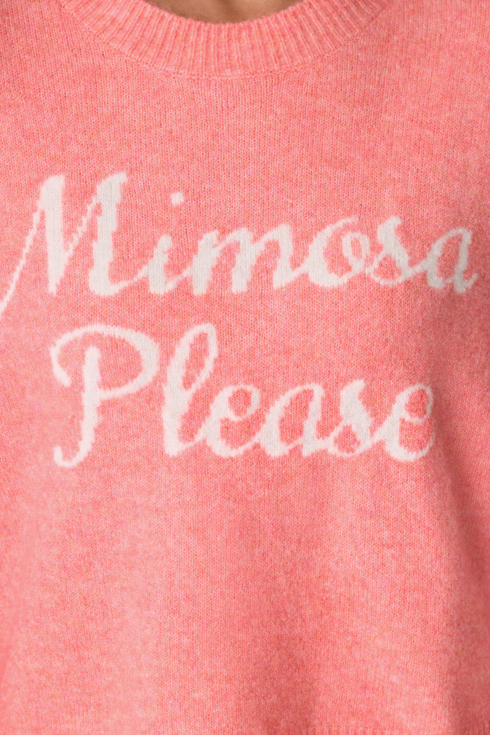 A close-up of the P.J. Salvage Mimosa Please Snuggle Sweater, a cozy pink knit featuring “Mimosa Please” in white cursive across the front—perfect for making a statement at your next brunch.