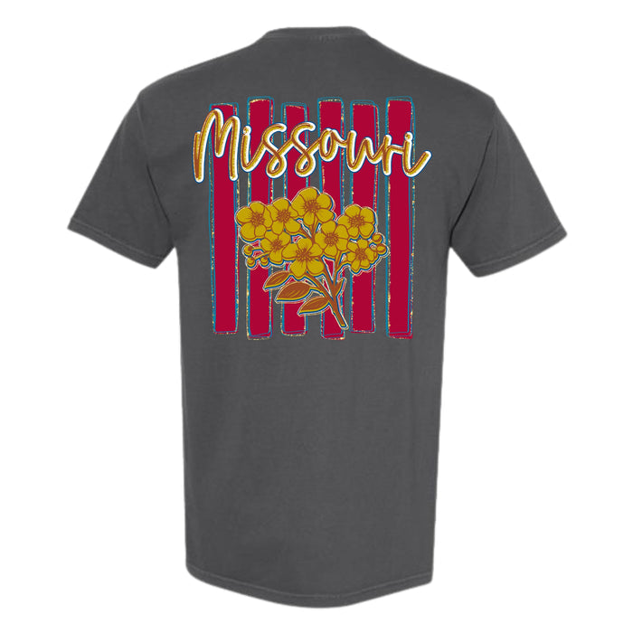 Missouri Stripes Short Sleeve T-Shirt