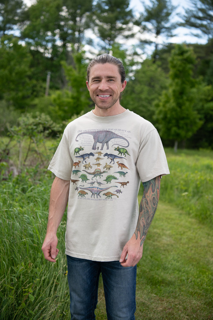 One Dinosaur Is... Adult Stone T-shirt
