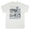 One Whale Is As Heavy As... Adult Ash T-shirt