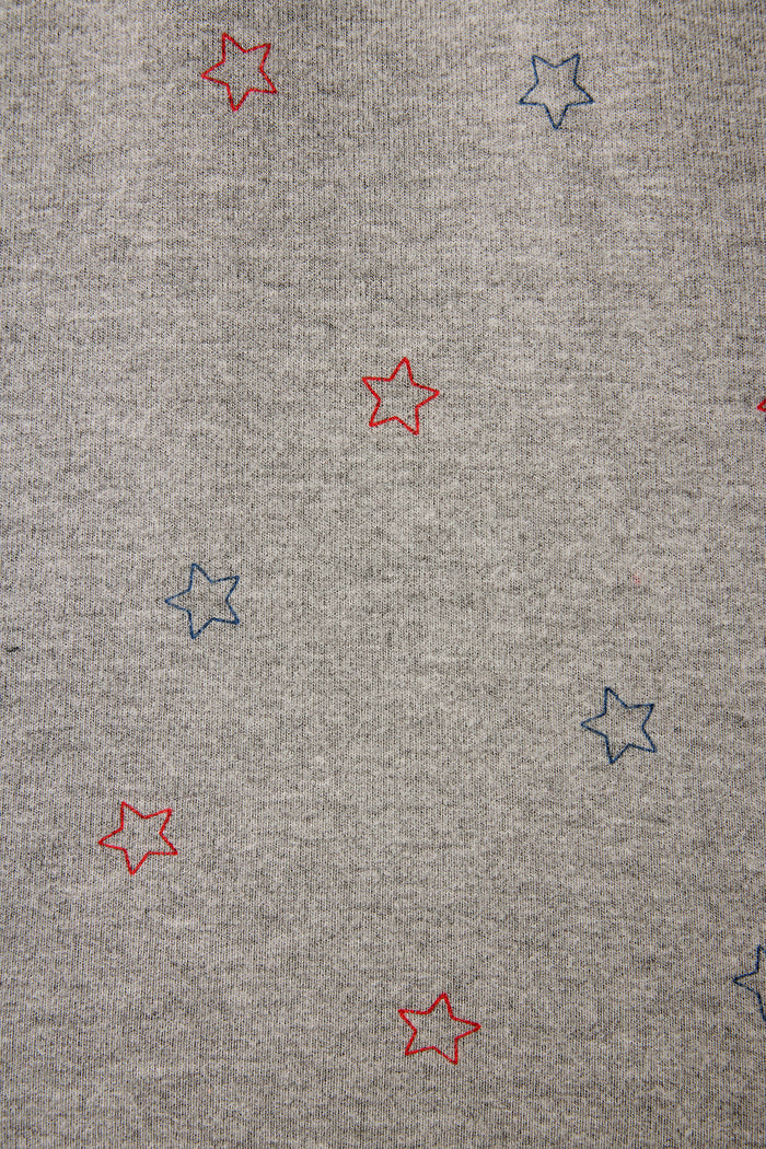 P.J. Salvage Red, White, & Woof Star Print fabric features a gray ground with small red and blue outlined stars evenly spaced all over.
