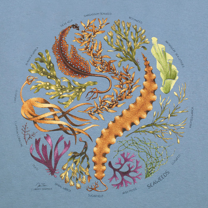 Seaweeds Adult Stone Blue T-shirt
