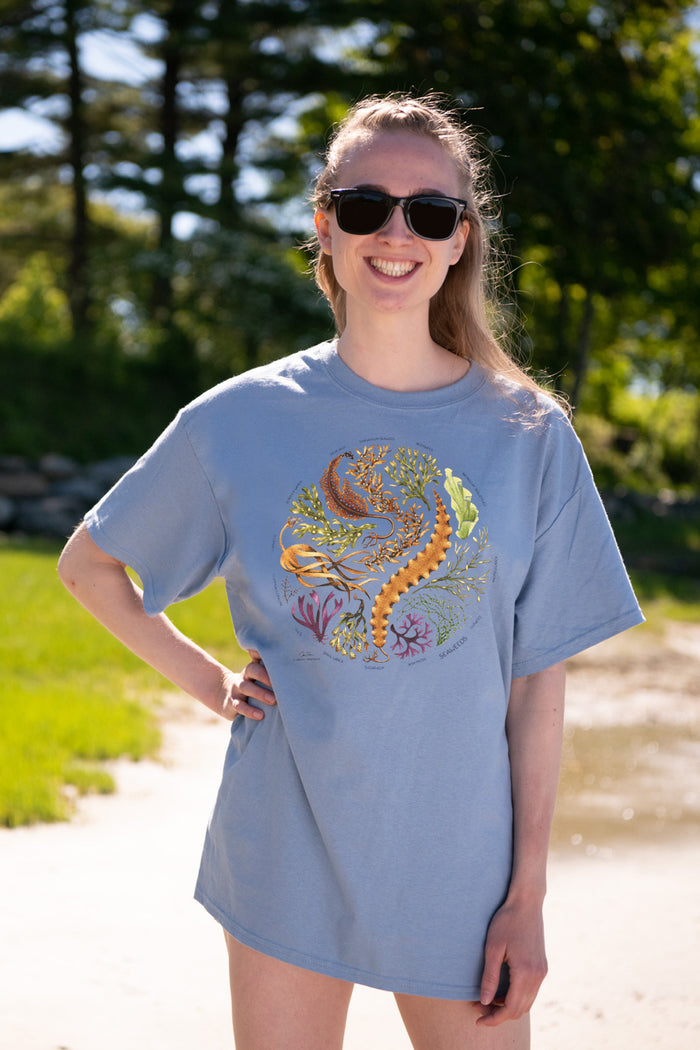 Seaweeds Adult Stone Blue T-shirt